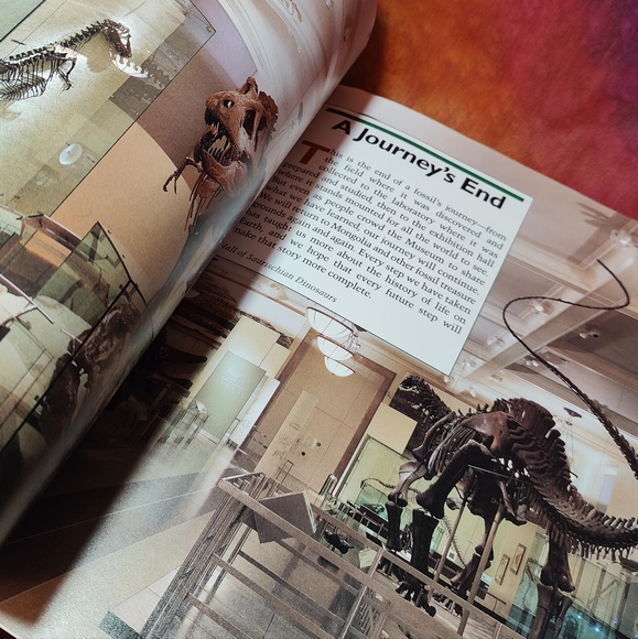 🍄SEARCHING FOR VELOCIRAPTOR Book - Picture 3 of 6